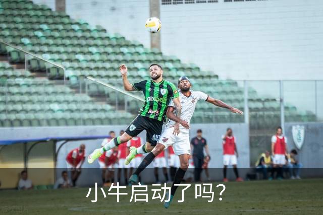 小牛启动了吗？